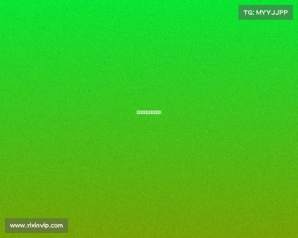 上海今天的赛事有哪些